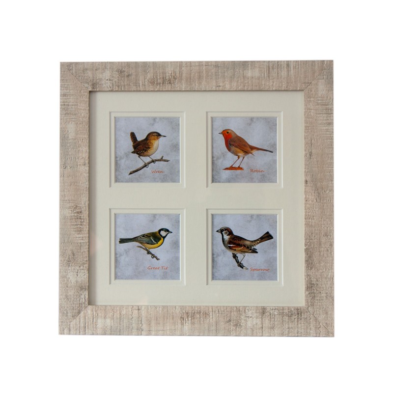Irish Garden Birds Framed Prints